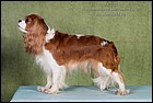 BRAITLAIT OF MOSKOU BELIVE YOUR HEART exc3 (3).jpg